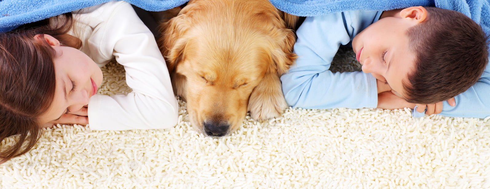 Product Carpet Floor